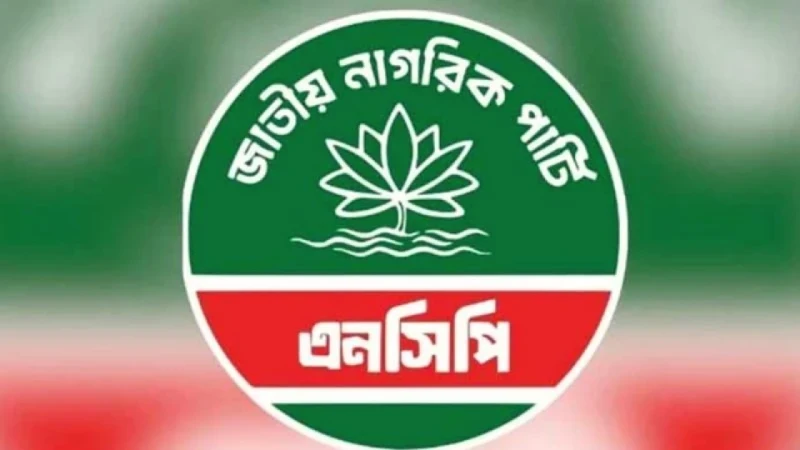 প্রতিষ্ঠার একবছর  রাজপথ থেকে সংসদ, এনসিপির পথচলা